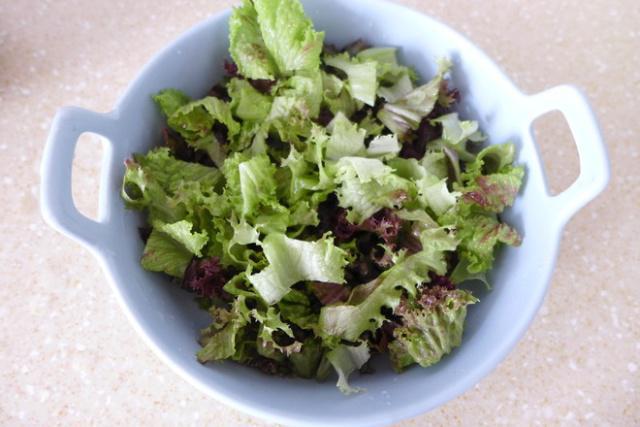 吉他手种出“生菜王”!AI让这场比赛颠覆想象